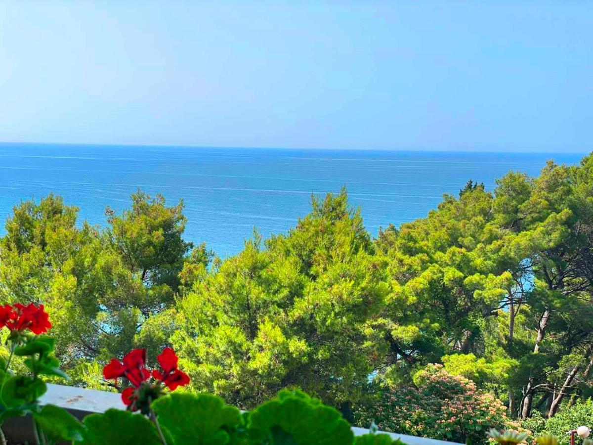 Apartments Lungo Mare Ulcinj 울친 외부 사진