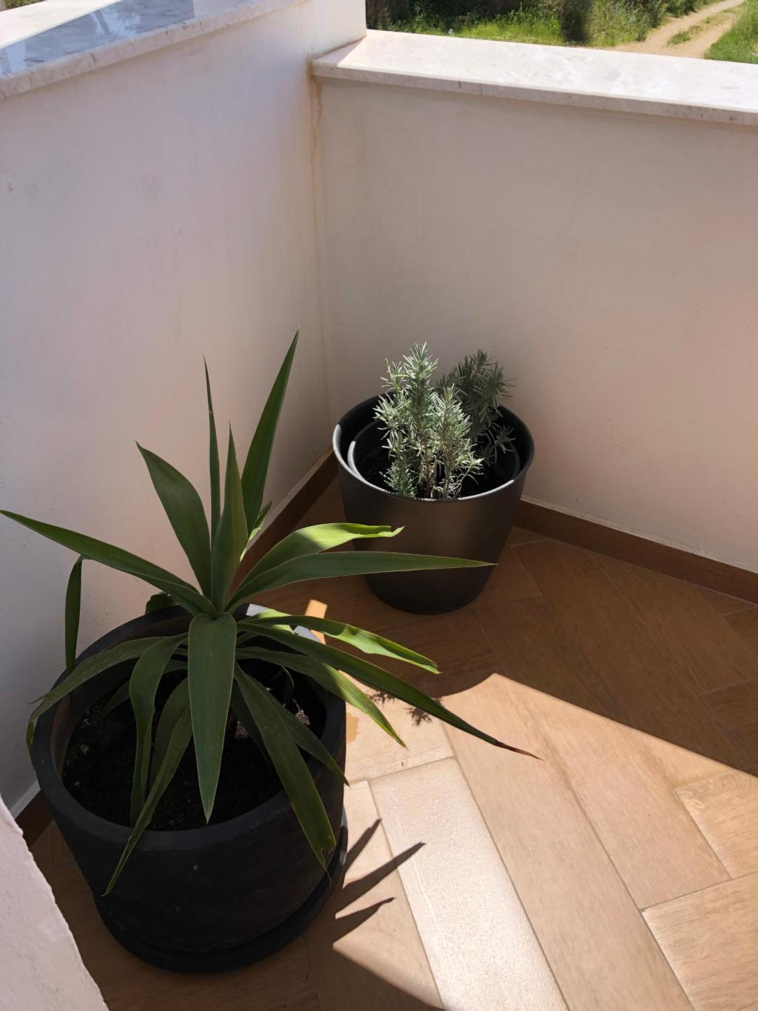 Apartments Lungo Mare 울친 외부 사진